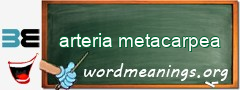WordMeaning blackboard for arteria metacarpea